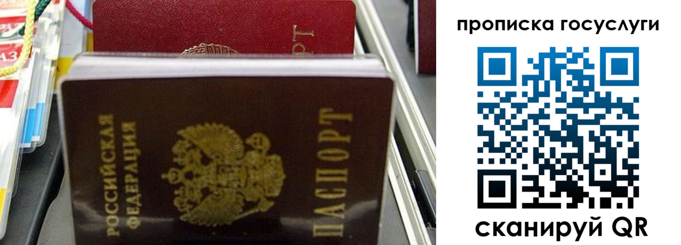 где прописаться в Светлом