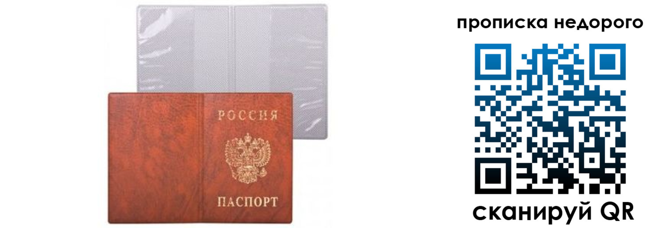 временная регистрация госуслуги в Светлом